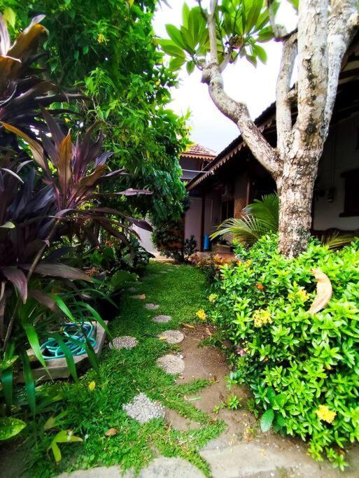 Niki Mawon Homestay Kejayan Extérieur photo